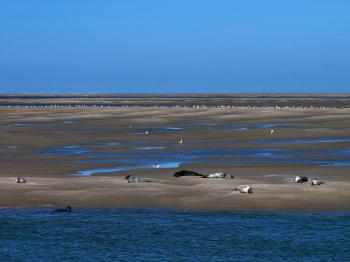 La Baie de Somme