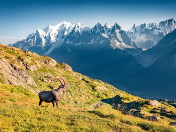 Rando balnéo au pays du Mont Blanc