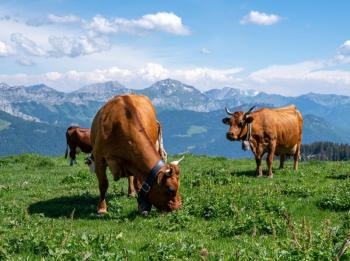 Rando balnéo au pays du Mont Blanc