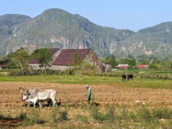 trek trekking Cuba randonnee pedestre - Trek Aventure Belgique