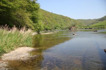 Panoramas sur la Semois