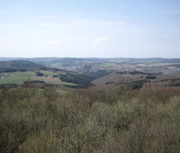 Sentier de l'Eifel :  de Gerolstein à Trèves