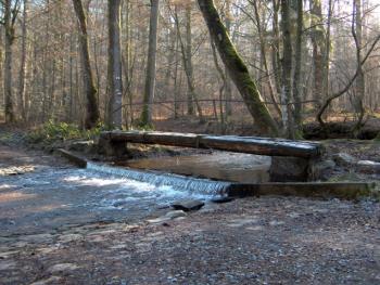 Week End Pure Rando - Forêt de St Hubert