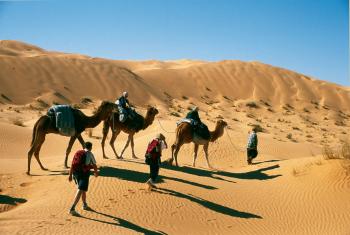 Au coeur de l'Erg Oriental