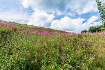 Escapardenne Lee Trail  - guidé