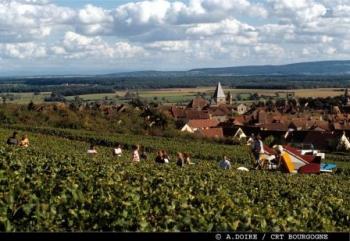 St Jacques de Compostelle : De Beaune à Cluny, par la voie des Allemands