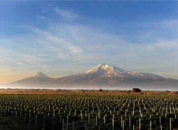 Les Vins d'Arménie