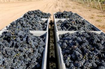 Les Vins d'Arménie Les Vins d'Arménie