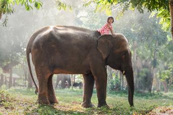 Chemins de traverse au Cambodge