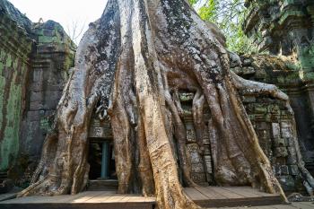 Au coeur de la civilisation Khmer