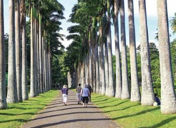 Le Sri Lanka authentique