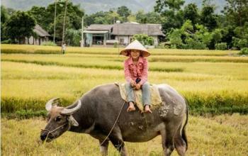 La grande traversée du Vietnam en famille