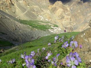 Le Ladakh, le petit Tibet