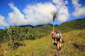 Volcans et Toucans