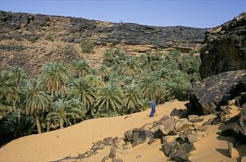 Les oasis de l'Adrar Les oasis de l'Adrar