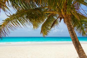 La Guadeloupe, l'île nature La Guadeloupe, l'île nature