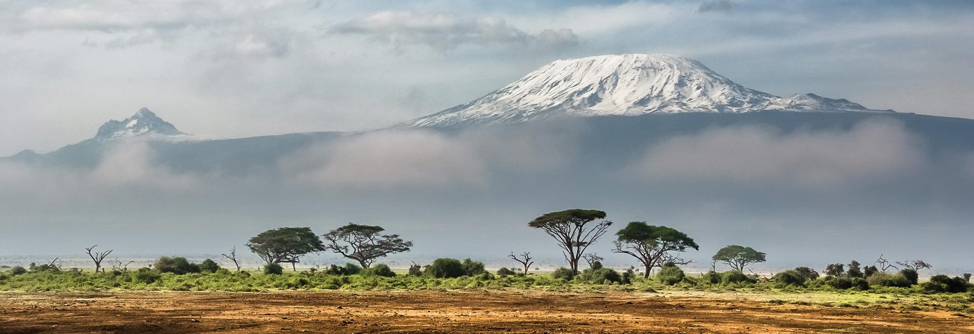 Kilimandjaro, Tanzanie